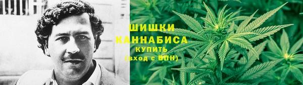 крисы Белоозёрский