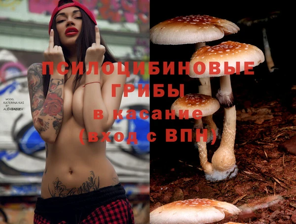 кокаин Белокуриха